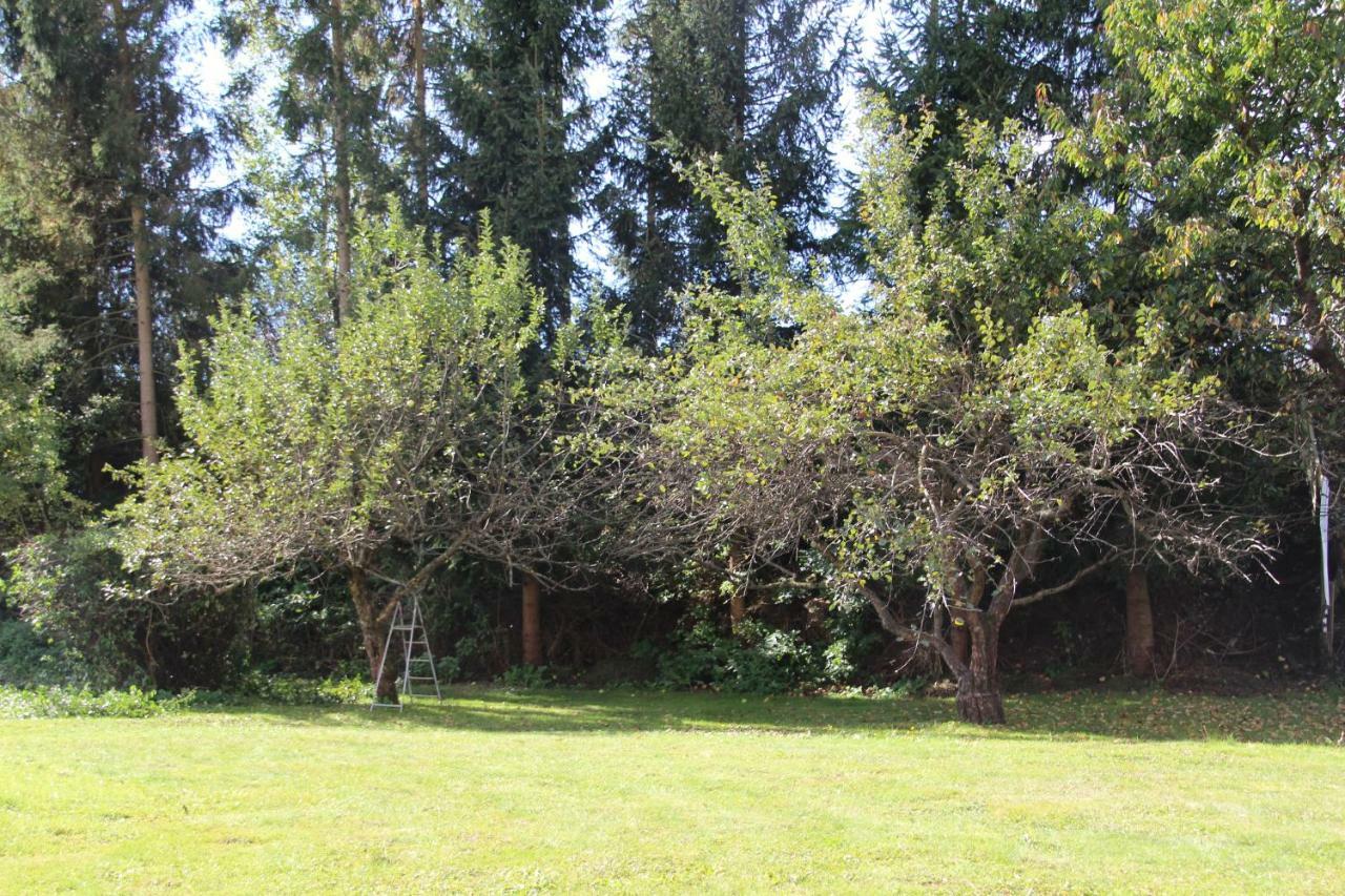 Narrenhaus Fohnsdorf Exterior foto